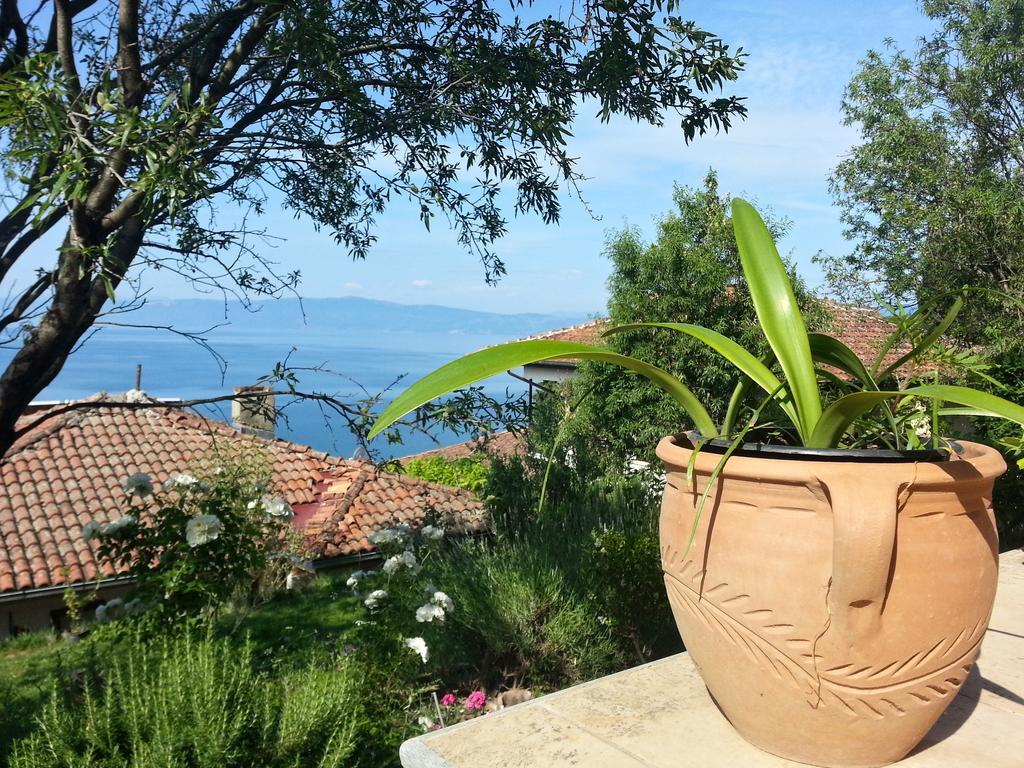 Maslov Apartments Ohrid Exterior photo